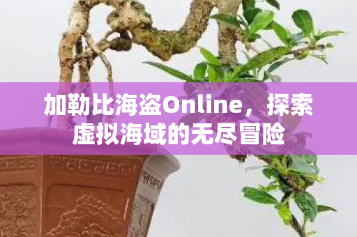 加勒比海盗Online,探索虚拟海域的无尽冒险 加勒比海盗Online,探索虚拟海域的无尽冒险