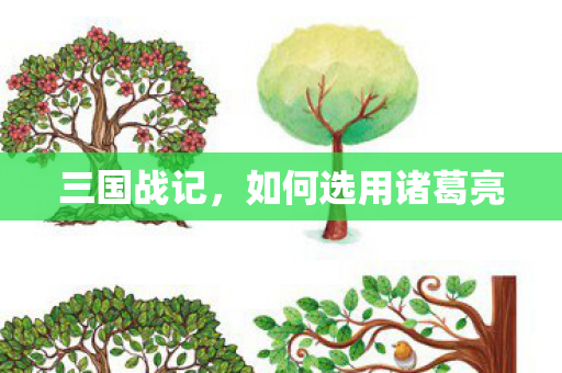 三国战记,如何选用诸葛亮 三国战记,如何选用诸葛亮
