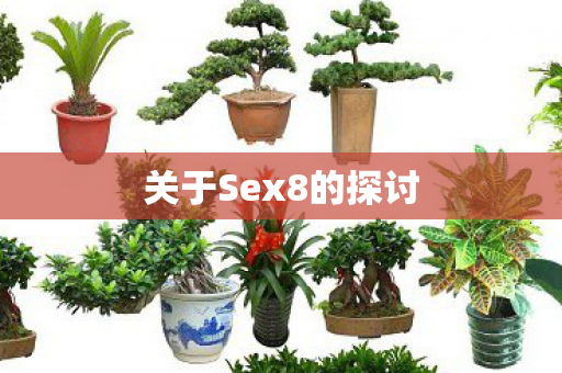 关于Sex8的探讨