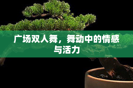 广场双人舞,舞动中的情感与活力 广场双人舞,舞动中的情感与活力