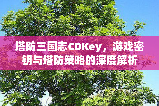 塔防三国志CDKey,游戏密钥与塔防策略的深度解析 塔防三国志CDKey,游戏密钥与塔防策略的深度解析