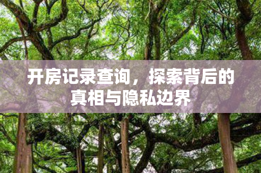 开房记录查询，探索背后的真相与隐私边界