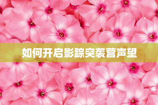 如何开启影踪突袭营声望 如何开启影踪突袭营声望