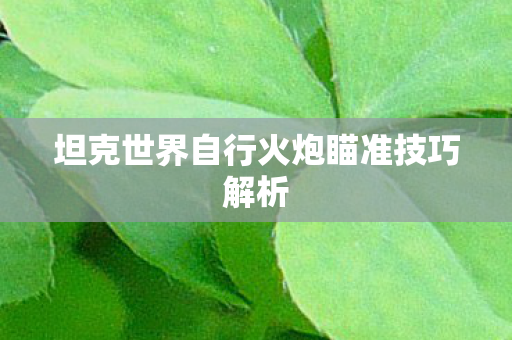 坦克世界自行火炮瞄准技巧解析 坦克世界自行火炮瞄准技巧解析