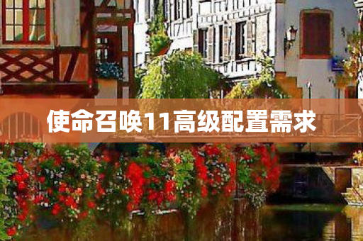 使命召唤11高级配置需求 使命召唤11高级配置需求