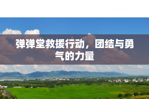 弹弹堂救援行动,团结与勇气的力量 弹弹堂救援行动,团结与勇气的力量