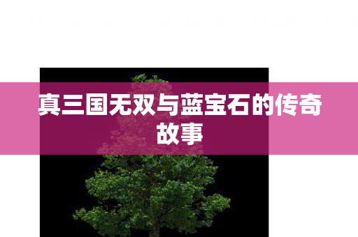 真三国无双与蓝宝石的传奇故事 真三国无双与蓝宝石的传奇故事