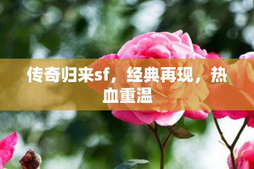 传奇归来sf,经典再现,热血重温 传奇归来sf,经典再现,热血重温