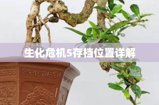 生化危机5存档位置详解