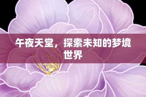 午夜天堂，探索未知的梦境世界