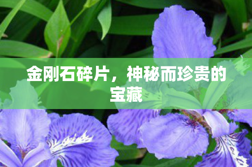 金刚石碎片,神秘而珍贵的宝藏 金刚石碎片,神秘而珍贵的宝藏