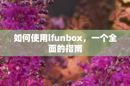 如何使用ifunbox,一个全面的指南 如何使用ifunbox,一个全面的指南