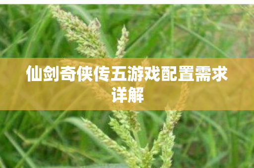 仙剑奇侠传五游戏配置需求详解 仙剑奇侠传五游戏配置需求详解