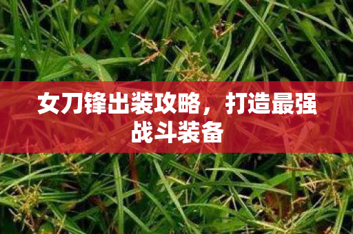 女刀锋出装攻略,打造最强战斗装备 女刀锋出装攻略,打造最强战斗装备