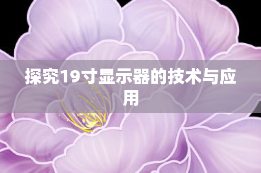 探究19寸显示器的技术与应用