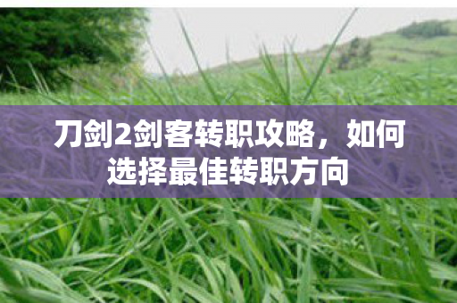 刀剑2剑客转职攻略,如何选择最佳转职方向 刀剑2剑客转职攻略,如何选择最佳转职方向