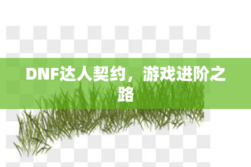 DNF达人契约，游戏进阶之路