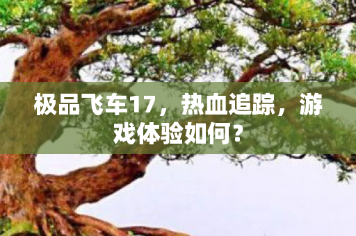 极品飞车17,热血追踪,游戏体验如何? 极品飞车17,热血追踪,游戏体验如何?