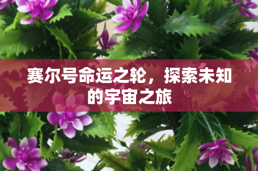 赛尔号命运之轮,探索未知的宇宙之旅 赛尔号命运之轮,探索未知的宇宙之旅