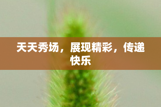 天天秀场,展现精彩,传递快乐 天天秀场,展现精彩,传递快乐