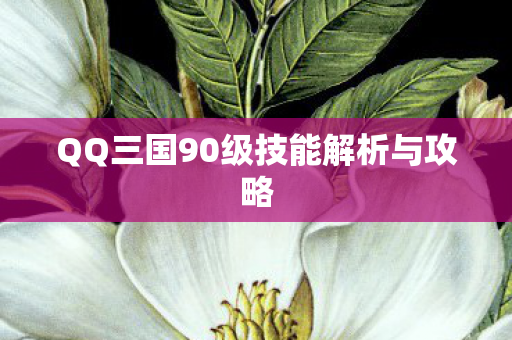 QQ三国90级技能解析与攻略