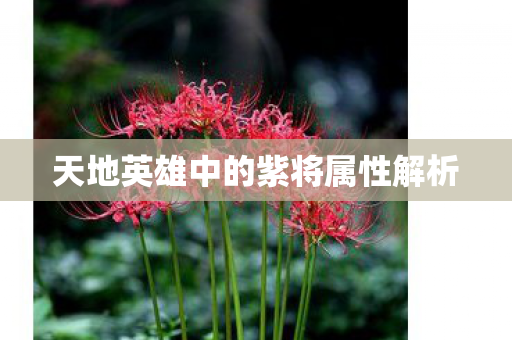 天地英雄中的紫将属性解析 天地英雄中的紫将属性解析
