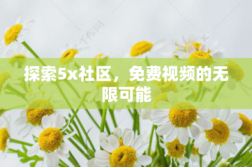 探索5x社区,免费视频的无限可能 探索5x社区,免费视频的无限可能