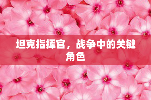 坦克指挥官,战争中的关键角色 坦克指挥官,战争中的关键角色