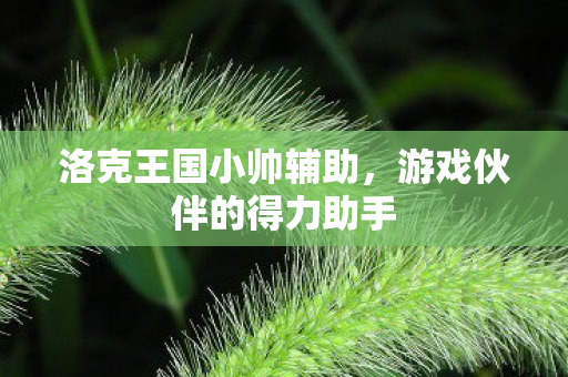 洛克王国小帅辅助,游戏伙伴的得力助手 洛克王国小帅辅助,游戏伙伴的得力助手
