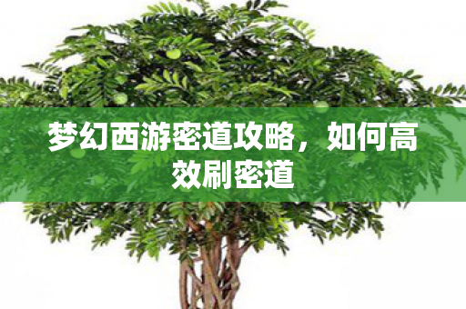 梦幻西游密道攻略,如何高效刷密道 梦幻西游密道攻略,如何高效刷密道
