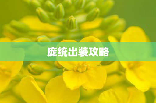 庞统出装攻略