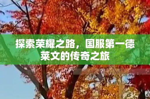 探索荣耀之路,国服第一德莱文的传奇之旅 探索荣耀之路,国服第一德莱文的传奇之旅