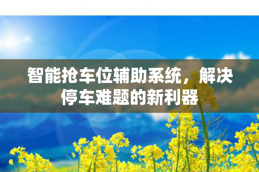 智能抢车位辅助系统,解决停车难题的新利器 智能抢车位辅助系统,解决停车难题的新利器