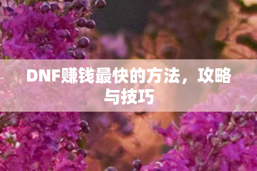 DNF赚钱最快的方法,攻略与技巧 DNF赚钱最快的方法,攻略与技巧
