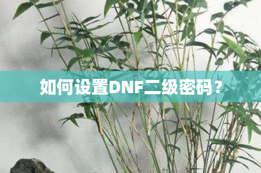 如何设置DNF二级密码? 如何设置DNF二级密码?