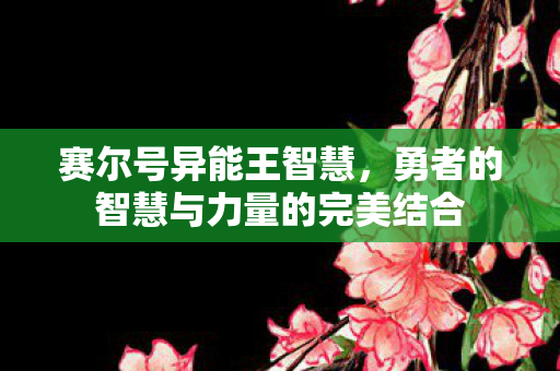 赛尔号异能王智慧，勇者的智慧与力量的完美结合