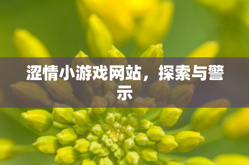 涩情小游戏网站,探索与警示 涩情小游戏网站,探索与警示