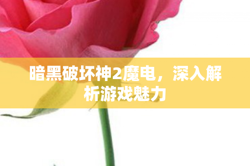 暗黑破坏神2魔电,深入解析游戏魅力 暗黑破坏神2魔电,深入解析游戏魅力