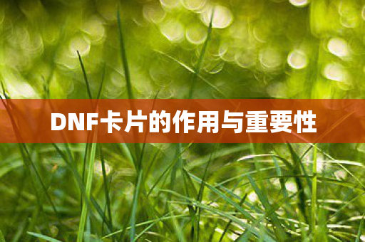 DNF卡片的作用与重要性 DNF卡片的作用与重要性