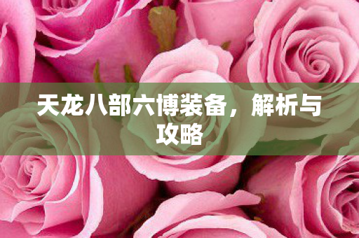 天龙八部六博装备,解析与攻略 天龙八部六博装备,解析与攻略