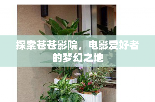 探索苍苍影院,电影爱好者的梦幻之地 探索苍苍影院,电影爱好者的梦幻之地