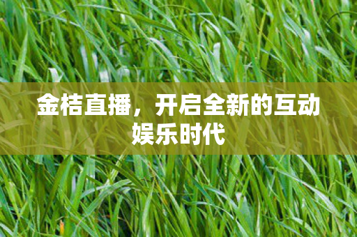 金桔直播,开启全新的互动娱乐时代 金桔直播,开启全新的互动娱乐时代