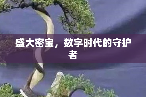 盛大密宝,数字时代的守护者 盛大密宝,数字时代的守护者