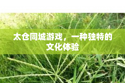 太仓同城游戏,一种独特的文化体验 太仓同城游戏,一种独特的文化体验