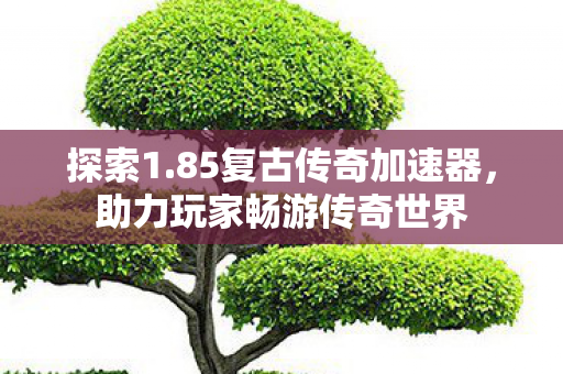 探索1.85复古传奇加速器,助力玩家畅游传奇世界 探索1.85复古传奇加速器,助力玩家畅游传奇世界