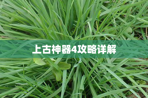 上古神器4攻略详解 上古神器4攻略详解