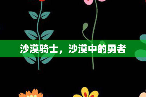 沙漠骑士,沙漠中的勇者 沙漠骑士,沙漠中的勇者