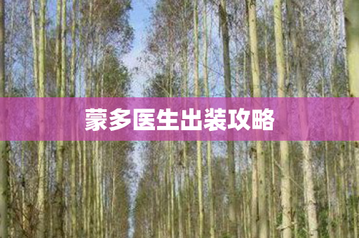 蒙多医生出装攻略