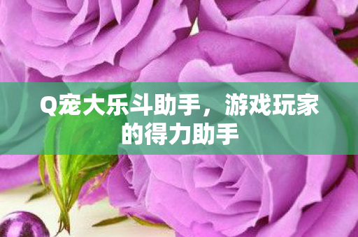 Q宠大乐斗助手,游戏玩家的得力助手 Q宠大乐斗助手,游戏玩家的得力助手