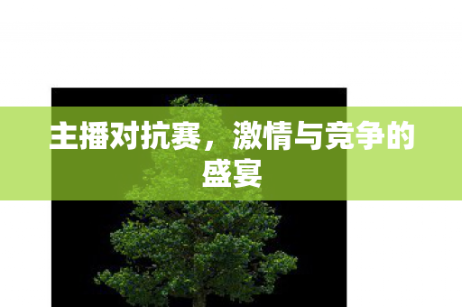 主播对抗赛,激情与竞争的盛宴 主播对抗赛,激情与竞争的盛宴